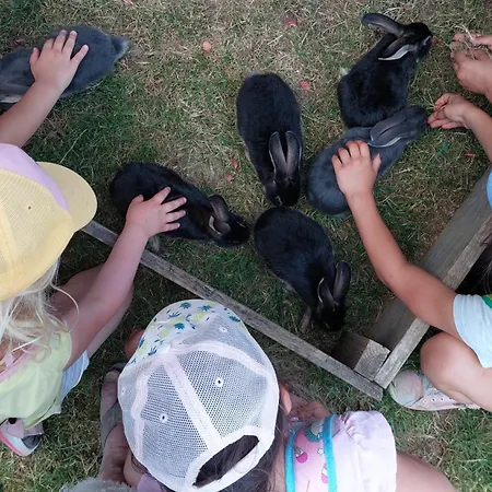 Roulotte A La Ferme Pouylebon